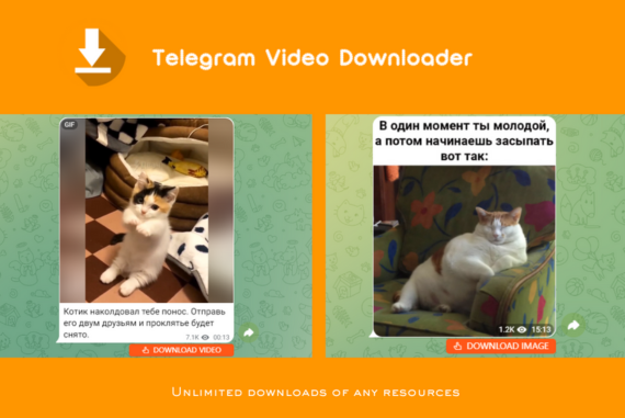 Telegram Private Video Downloader